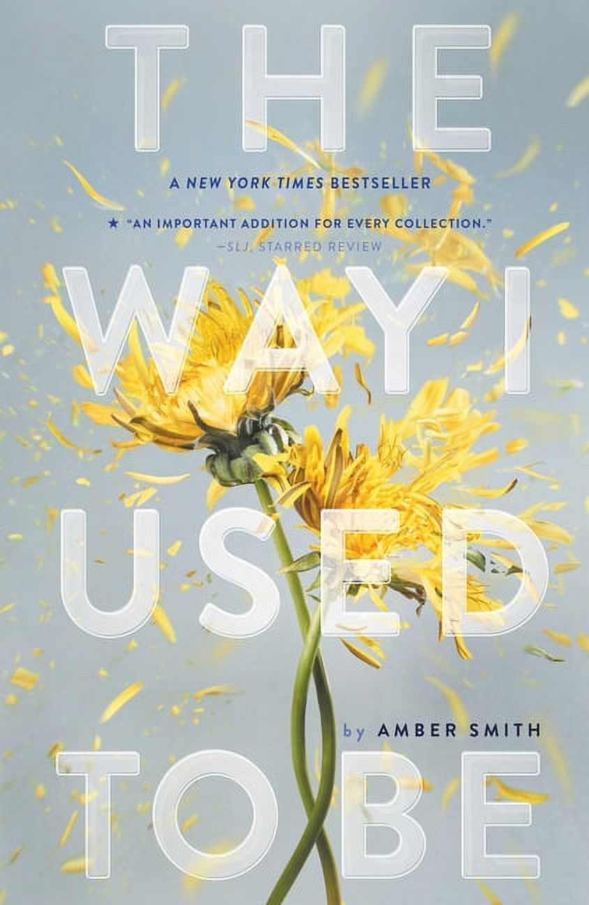 The Way I Used to Be: The Way I Used to Be (Paperback) - image 1 of 1