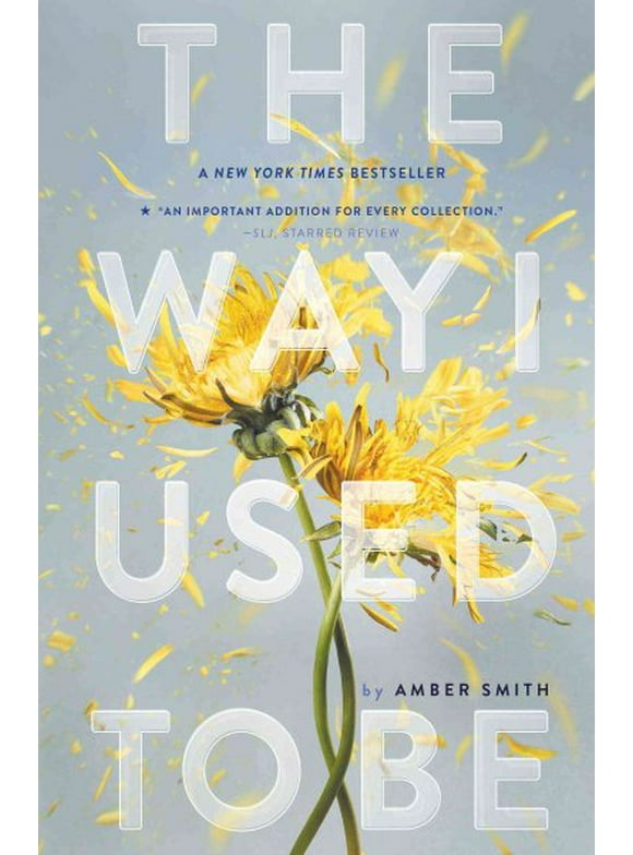 The Way I Used to Be: The Way I Used to Be (Paperback)