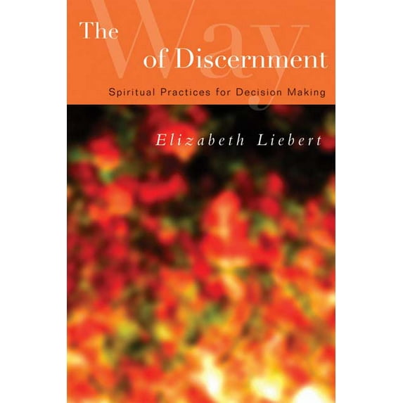 The Way of Discernment (Paperback)