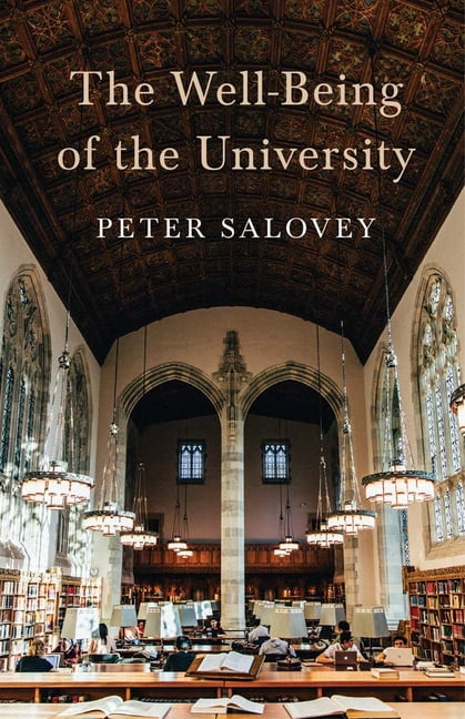 The Well-Being of the University, (Hardcover)
