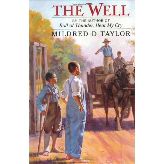 Pre-Owned The Well: David's Story (Hardcover) 0803718020 9780803718029