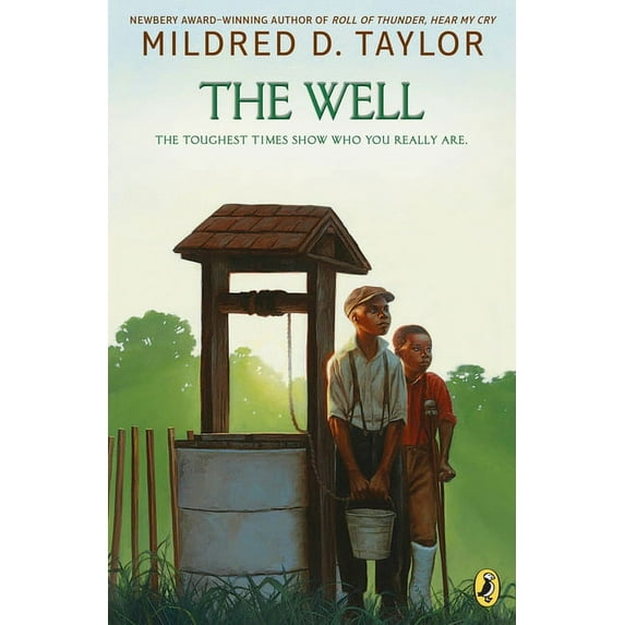 The Well (Paperback)