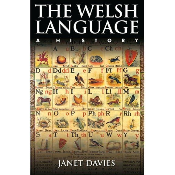 The Welsh Language : A History (Paperback)