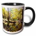 thumbnail image 1 of 3drose, the Whipple Trail Head in Dixie National Forest with Fall Foliage, 11oz Two-tone Black Mug, 1 of 6