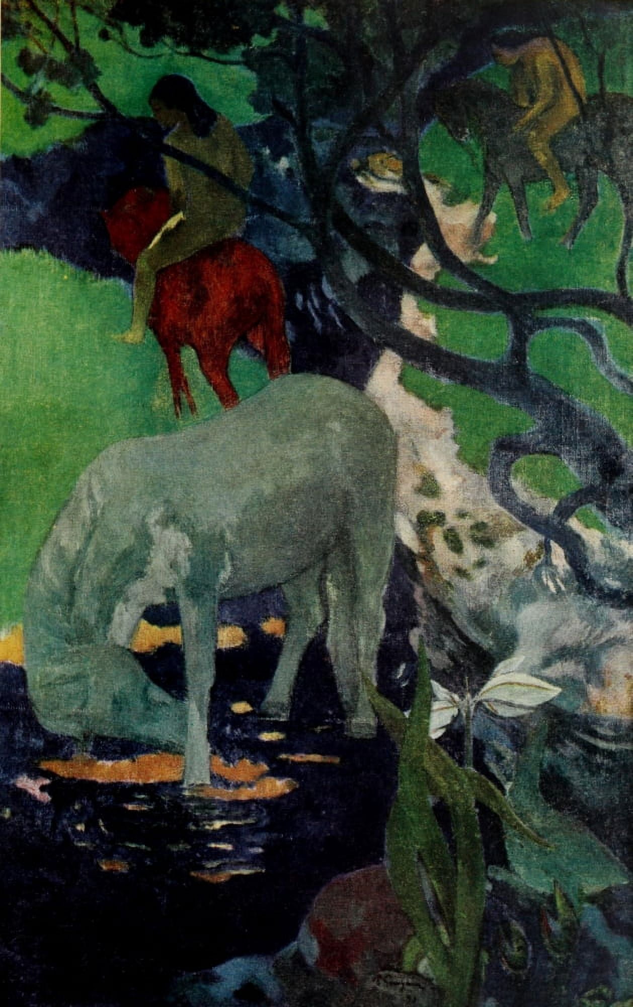The White Horse 1898 Canvas Art - P Gauguin (24 x 36)