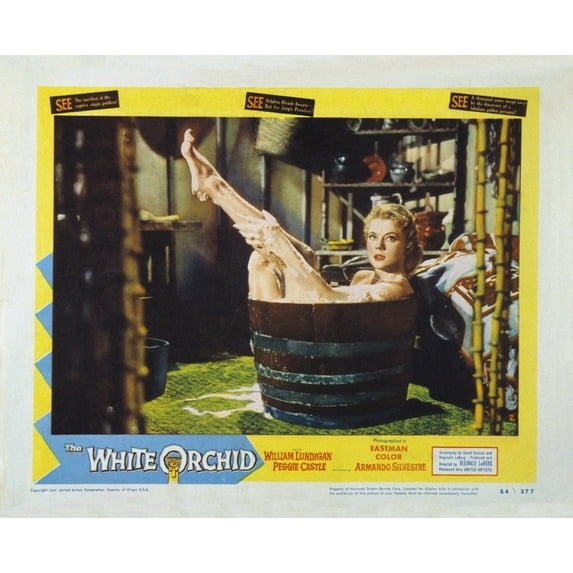 The White Orchid Still (20 x 16)