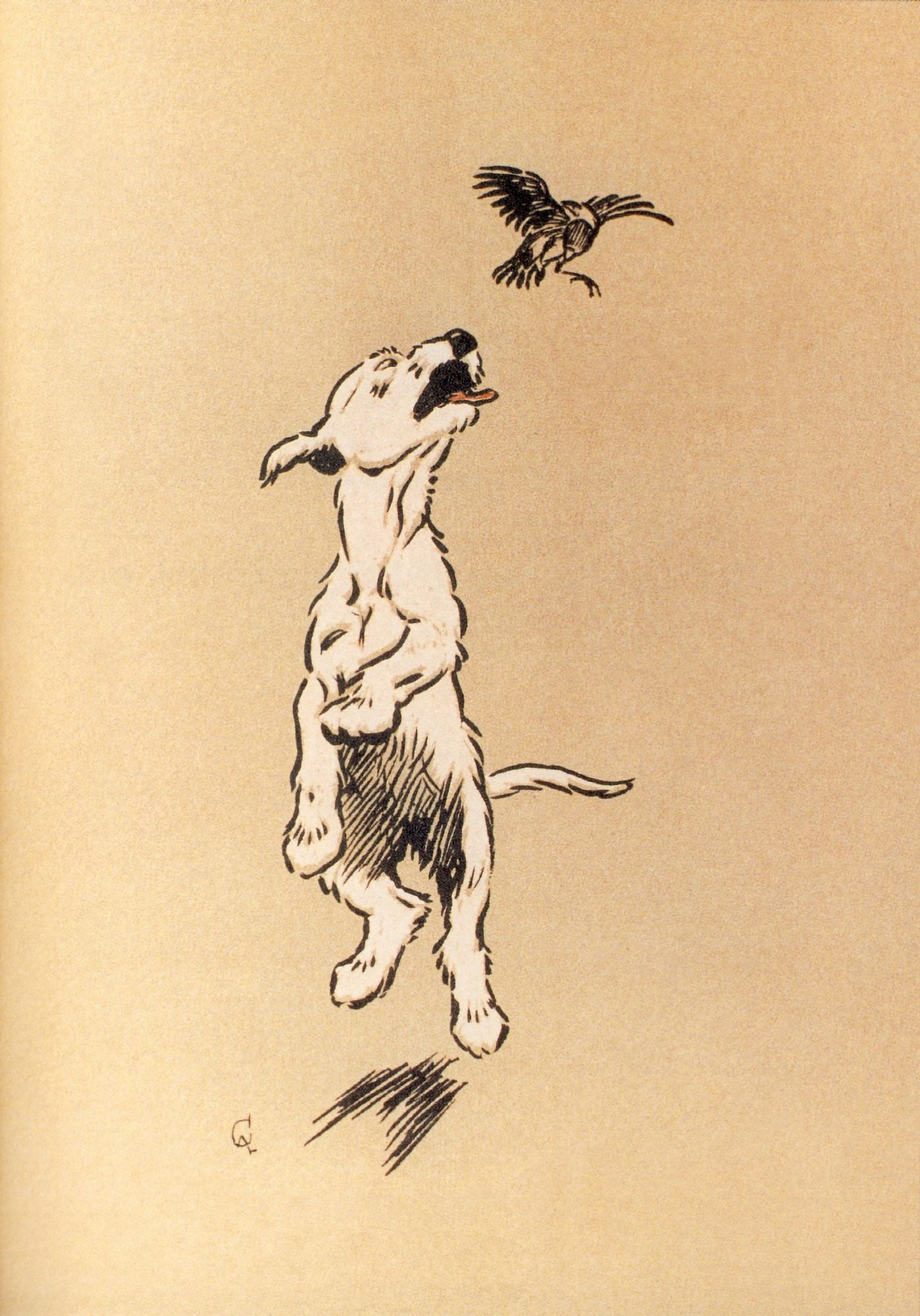 The White Puppy 1909 Chasing a bird Canvas Art - Cecil Aldin (18 x 24)