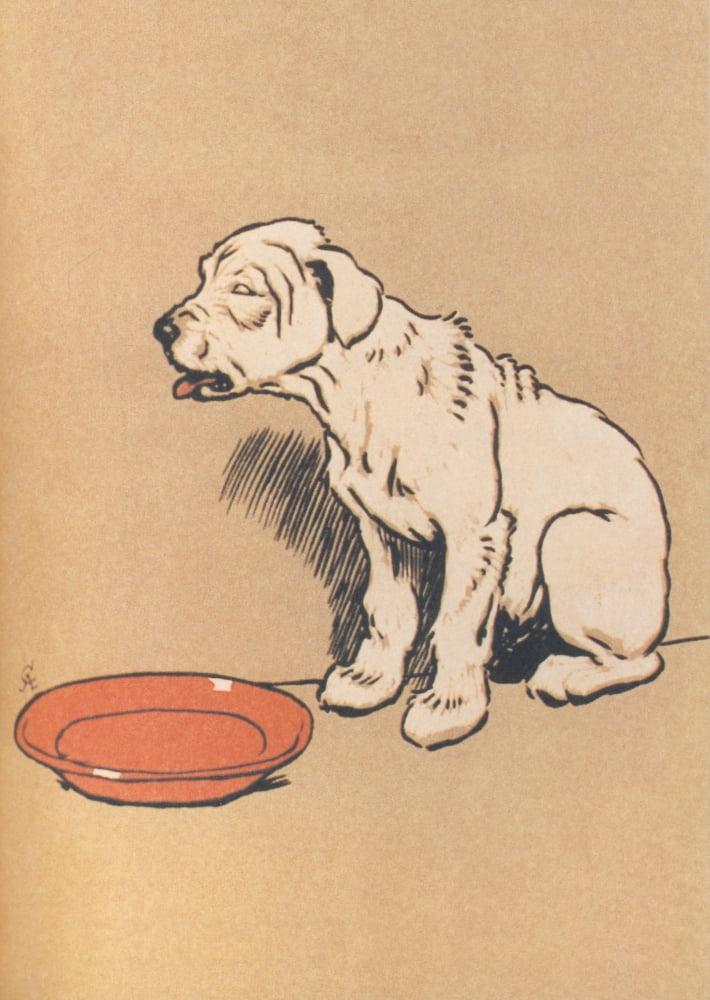 The White Puppy 1909 No food Canvas Art - Cecil Aldin (18 x 24)