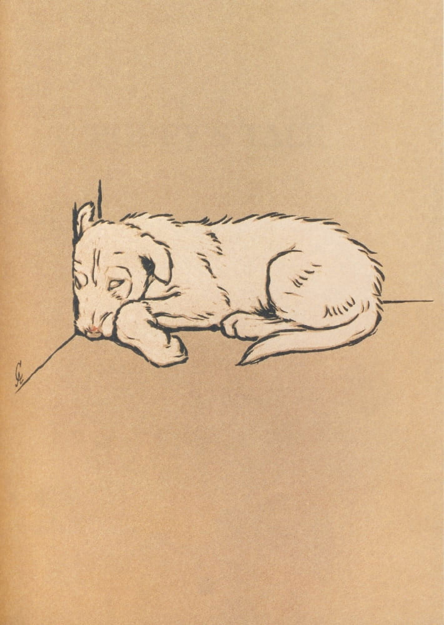 The White Puppy 1909 Poor puppy Canvas Art - Cecil Aldin (18 x 24)
