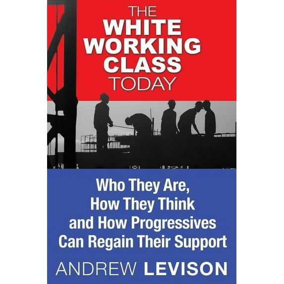 The White Working Class Today: Who They Are, How They Think and How Progressives Can Regain Their Support Paperback Mr Andrew Levison