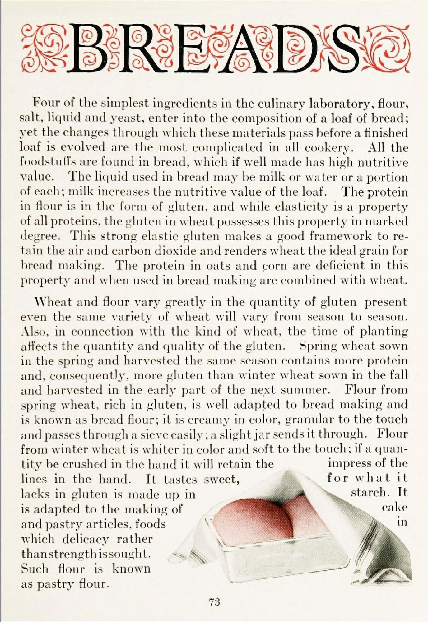 The Whys of Cooking 1919 Breads Canvas Art - (18 x 24)