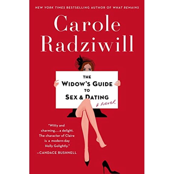 Pre-Owned The Widow's Guide to Sex and Dating: A Novel (Hardcover) 0805098844 9780805098846