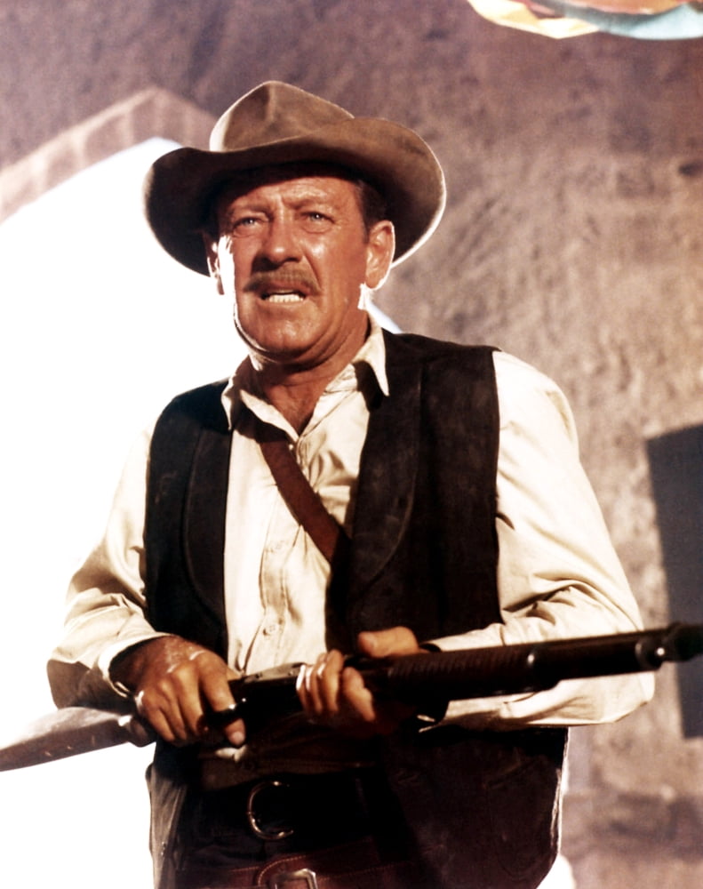 The Wild Bunch Canvas Art - (16 x 20)