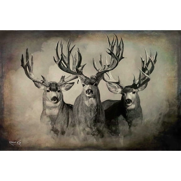The Wild Bunch Dark Mule Deer Print by Robert King, Mule Deer Trophy Bucks, Giant Bucks, Buck Print, Deer Poster, Racks, Cabin Woodland
