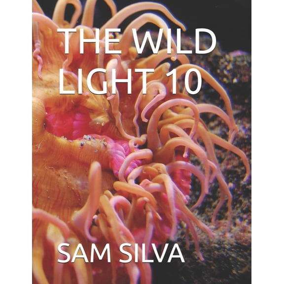 The Wild Light 10, (Paperback)