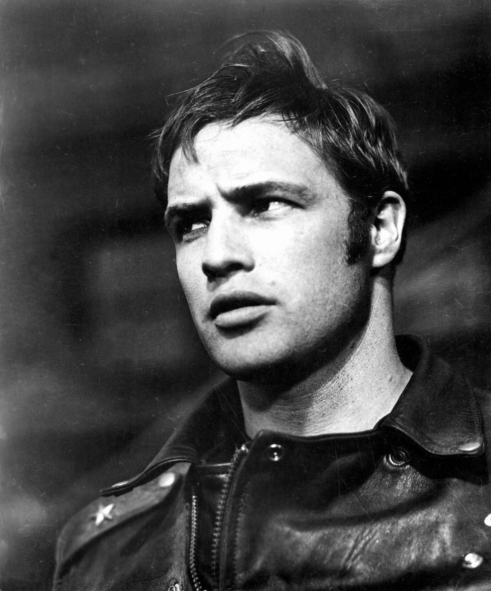 The Wild One Canvas Art - (16 x 20)