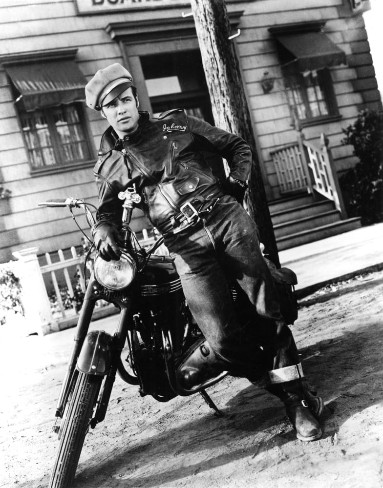 The Wild One Canvas Art - (16 x 20)