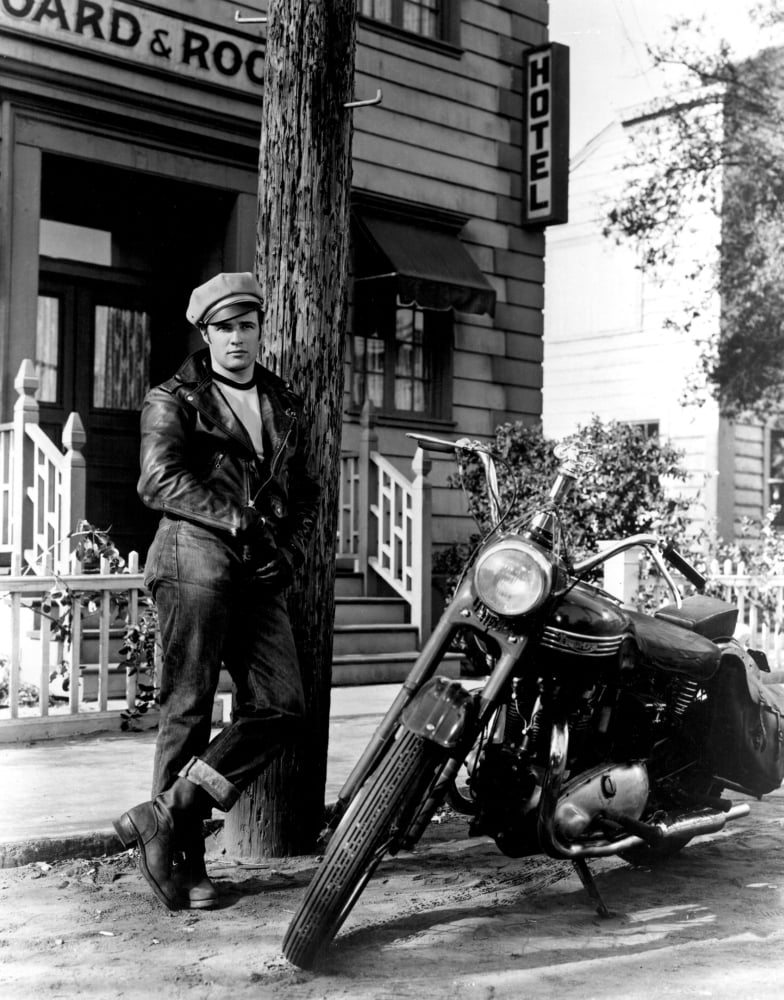 The Wild One Canvas Art - (16 x 20)