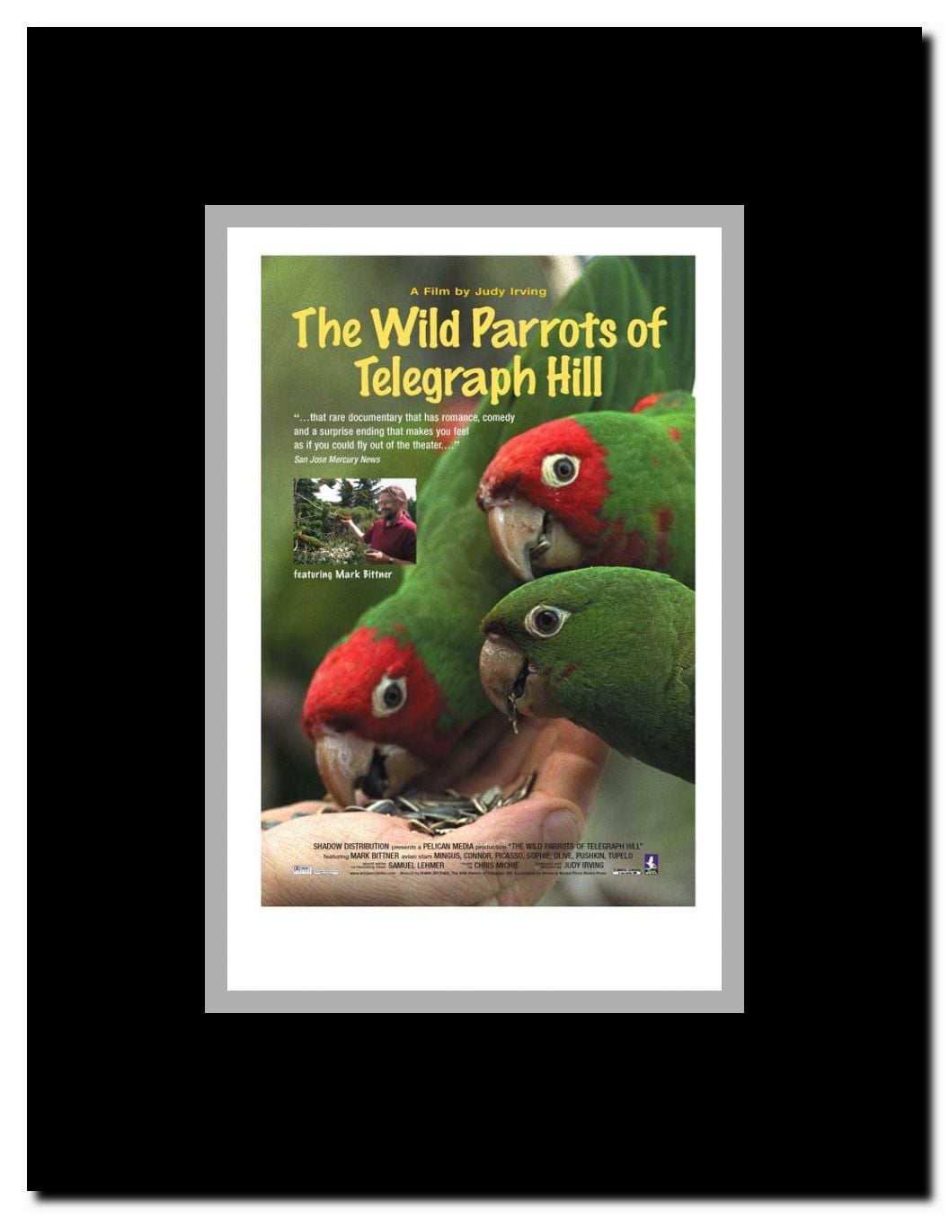 The Wild Parrots of Telegraph Hill Framed Movie Poster