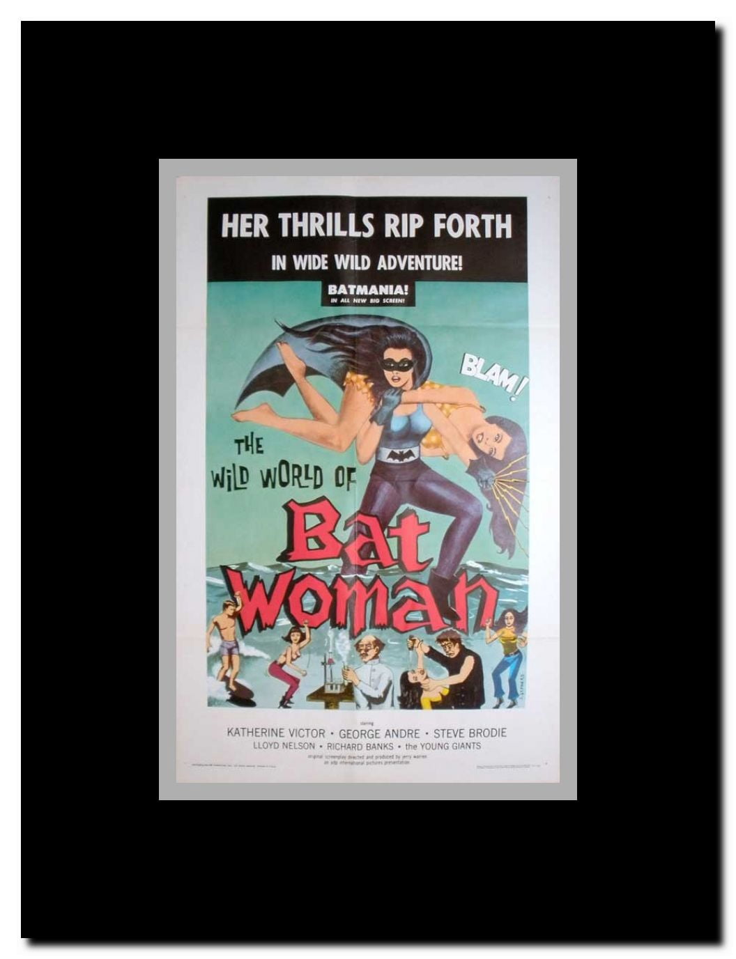 The Wild World of Batwoman Framed Movie Poster