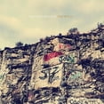 thumbnail image 1 of The Wild, 1 of 1