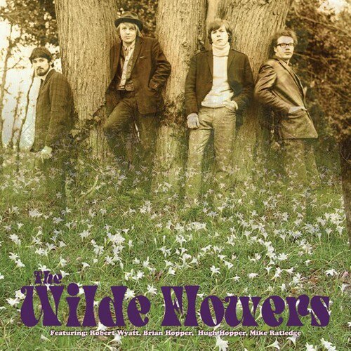 The Wilde Flowers - The Wilde Flowers - Music & Performance - Vinyl