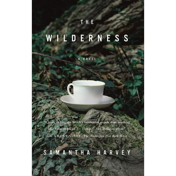 The Wilderness : A Novel (Paperback)