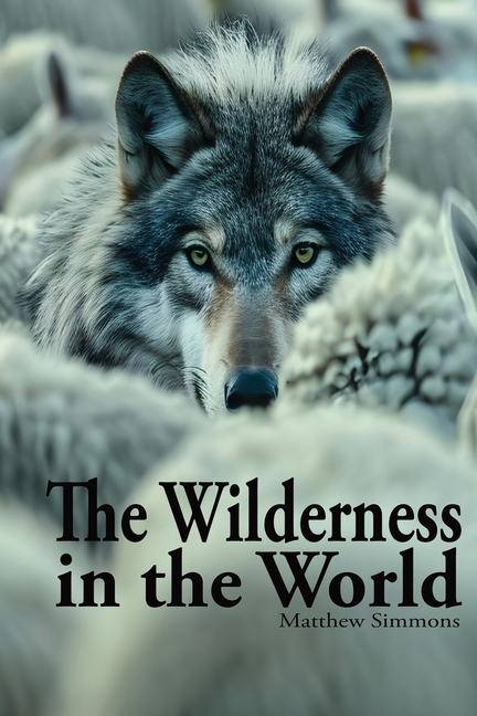 The Wilderness in the World, (Paperback)