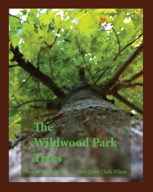 The Wildwood Park Trees