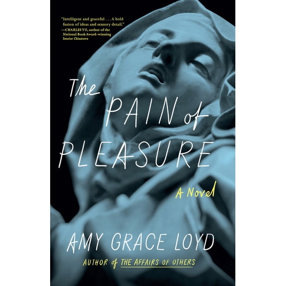 Pre-Owned The Pain of Pleasure (Paperback) 1948072114 9781948072113