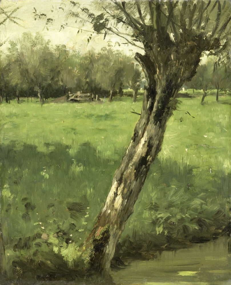 The Willow Canvas Art - (24 x 36)