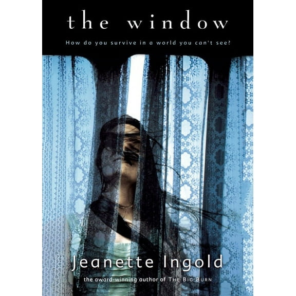 The Window, (Paperback)
