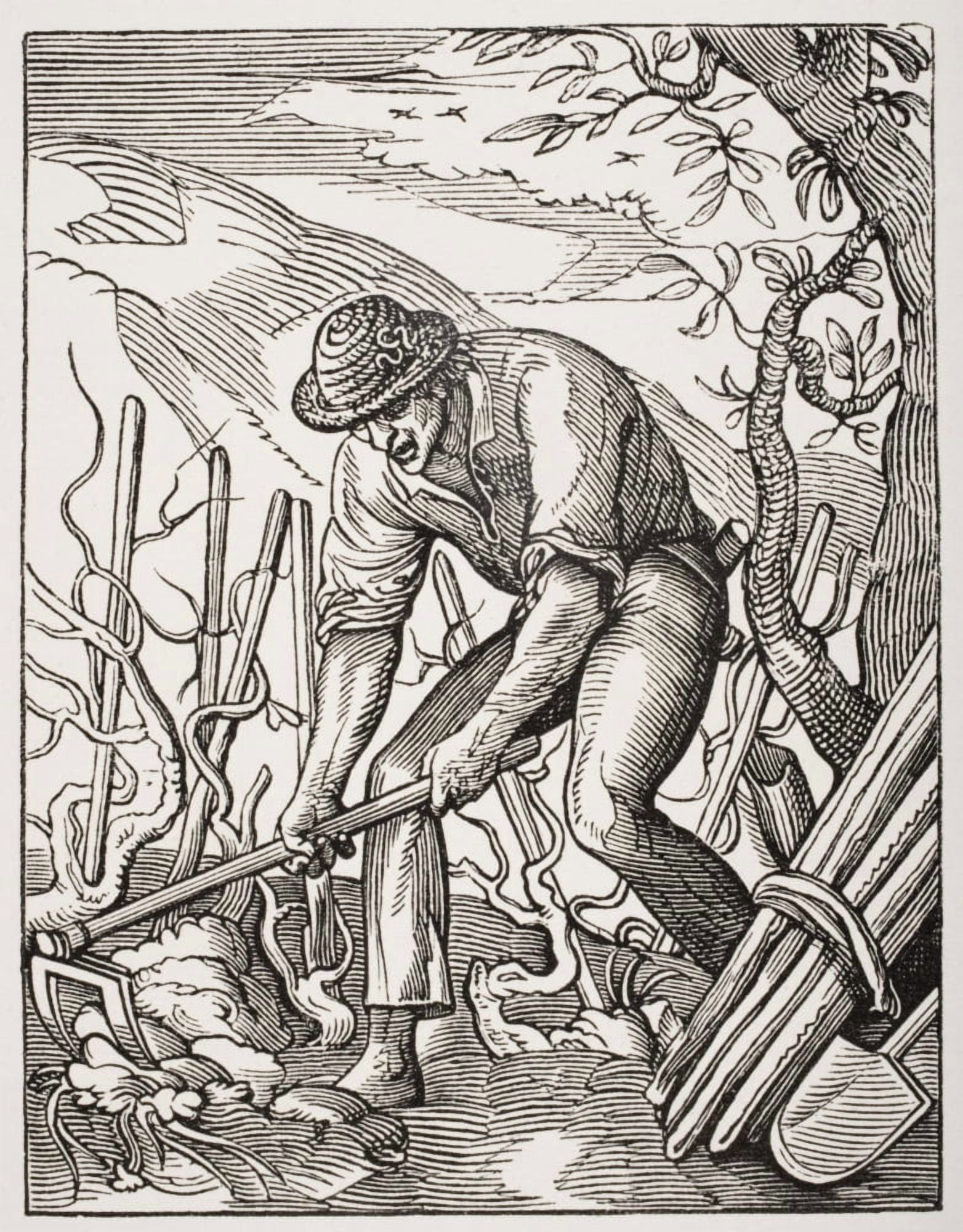 The Wine Grower 19Th Century Reproduction Of 16Th Century Engraving By Jost Amman Canvas Art - Ken Welsh Design Pics (26 x 34)