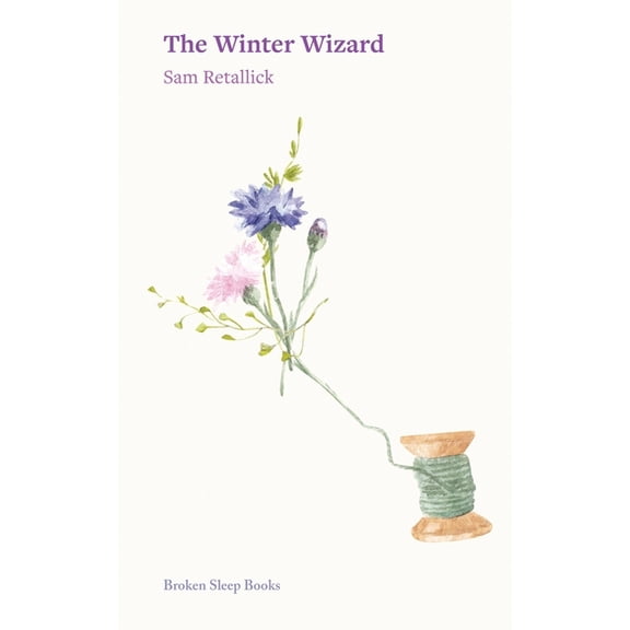 The Winter Wizard, (Paperback)
