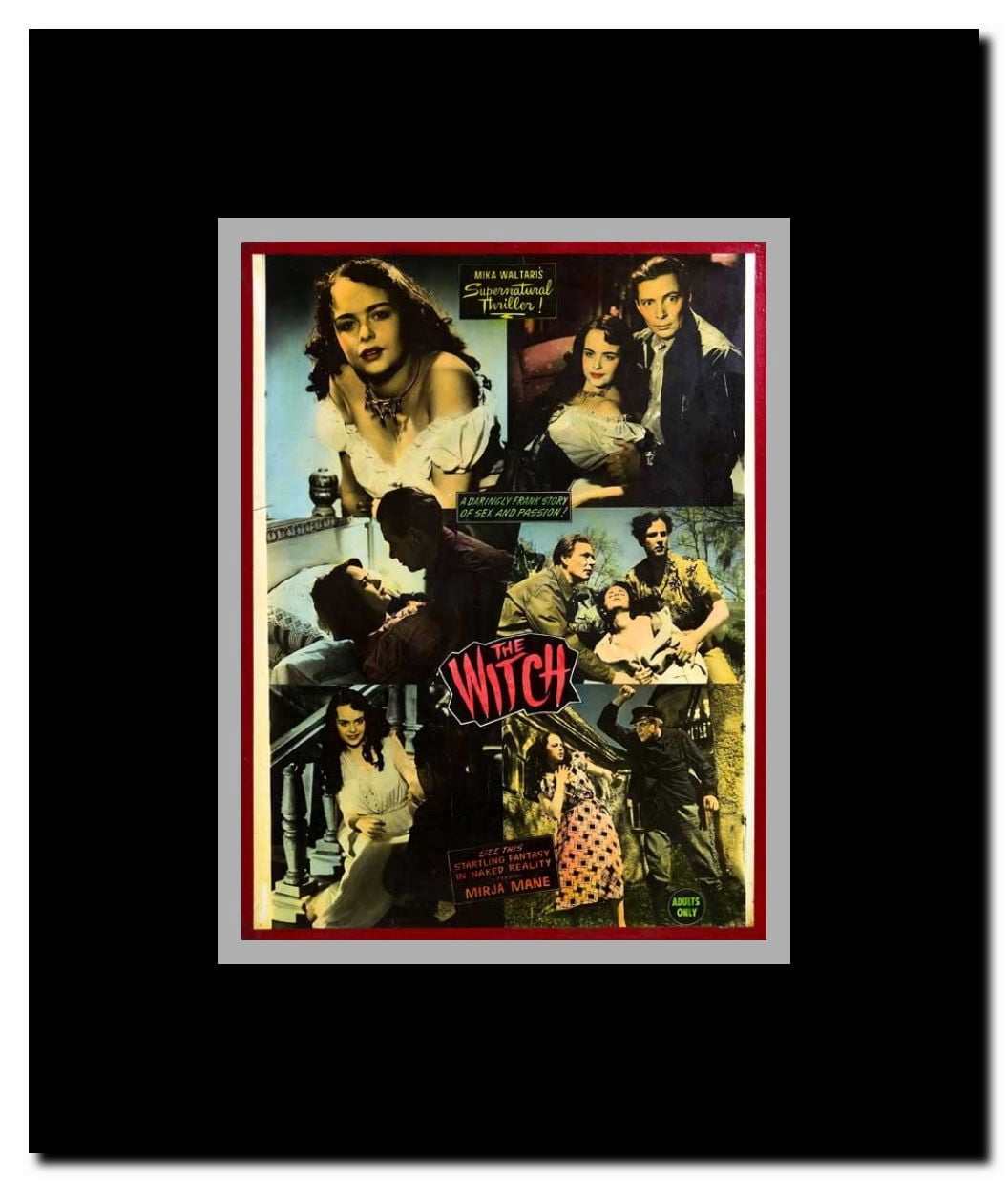 The Witch Framed Movie Poster