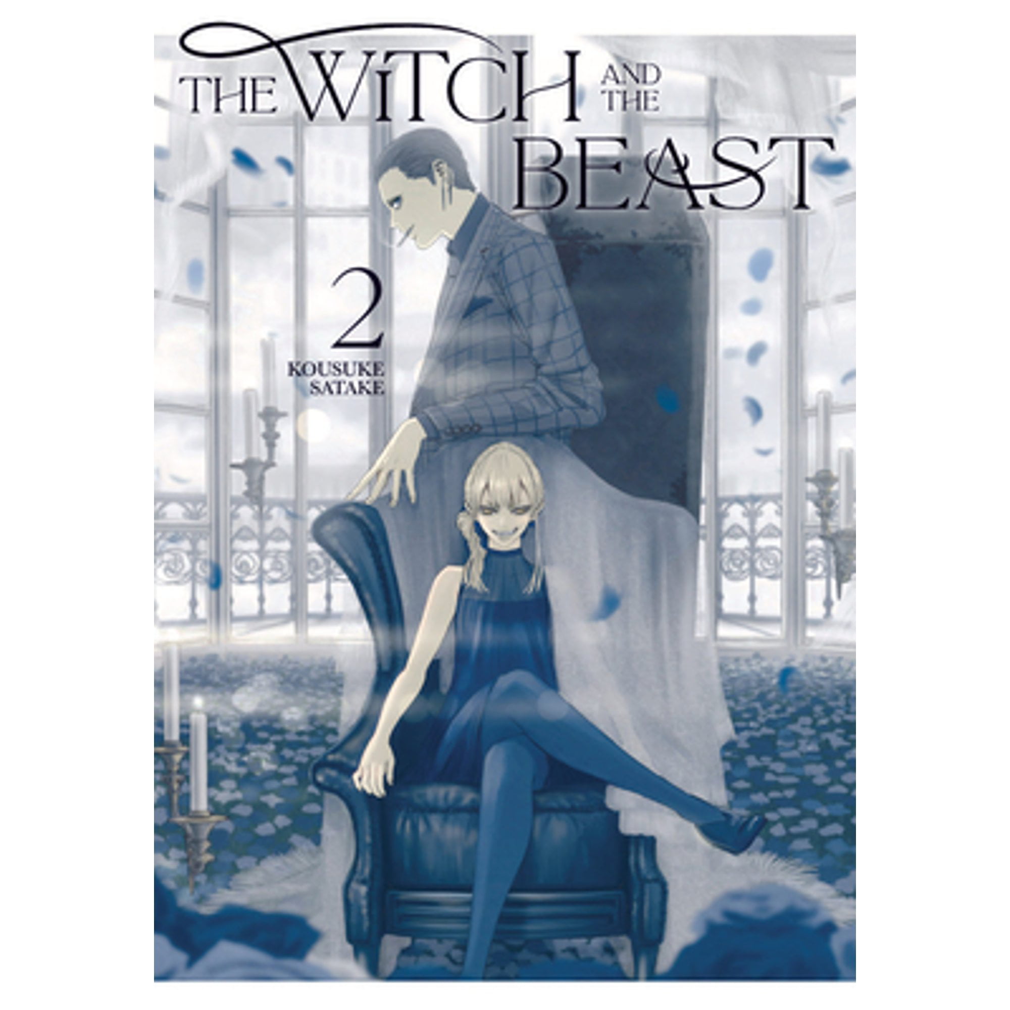 Pre-Owned The Witch and the Beast 2 (Paperback 9781646510221) by Kousuke Satake