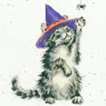 thumbnail image 1 of The Witch's Cat XHD105 Counted Cross Stitch Kit, 1 of 2
