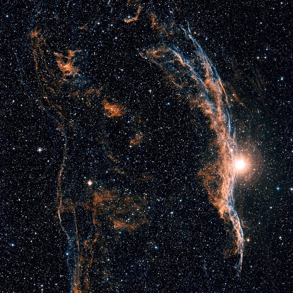 The Witchs Broom Nebula (NGC 6960) and part of the Veil Nebula Canvas Art - Charles ShaharStocktrek Images (28 x 28)