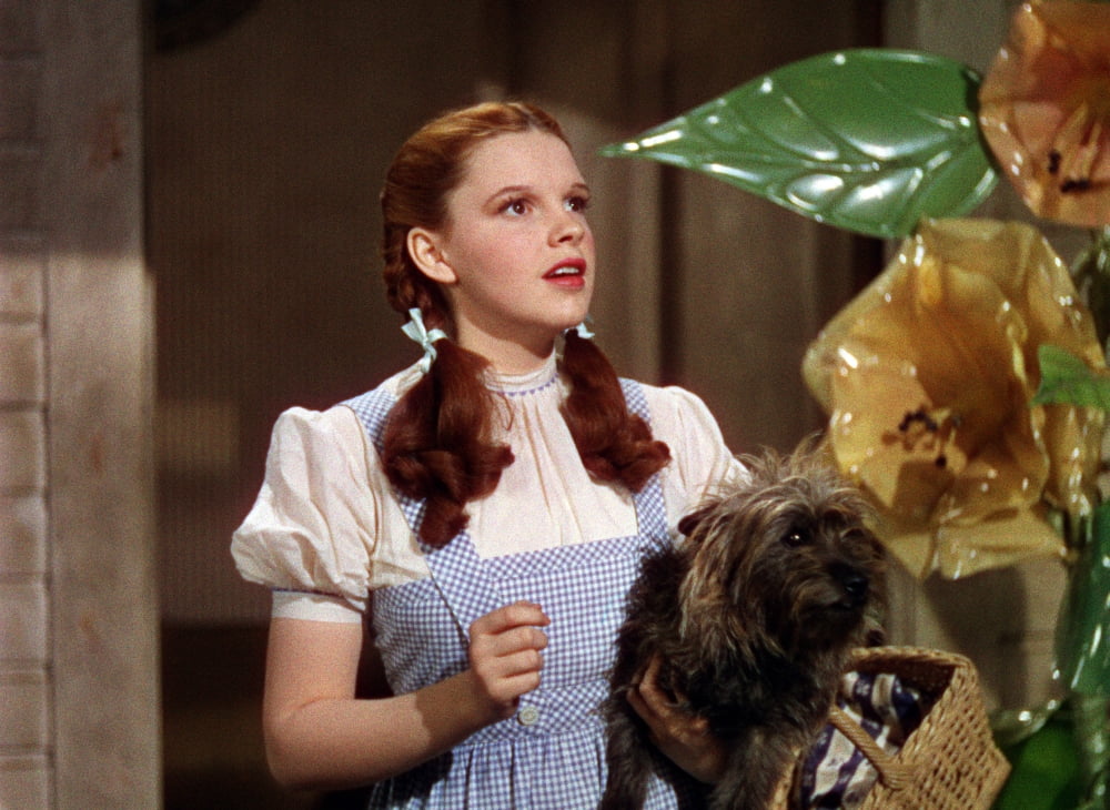 The Wizard Of Oz Canvas Art - (20 x 16)