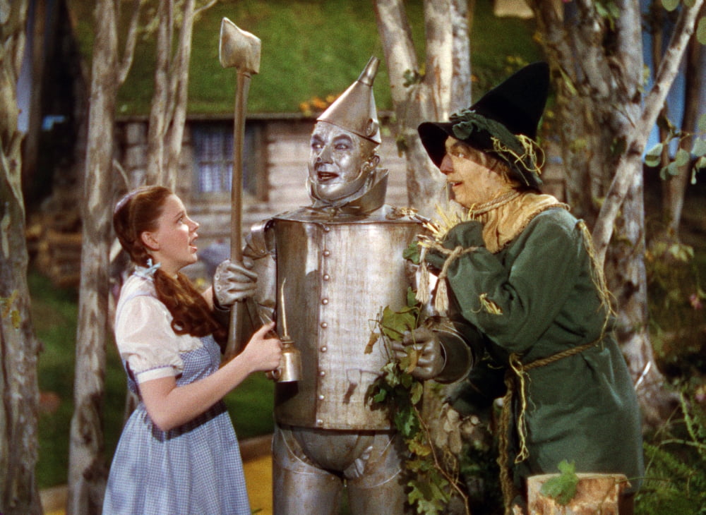 The Wizard Of Oz Canvas Art - (20 x 16)