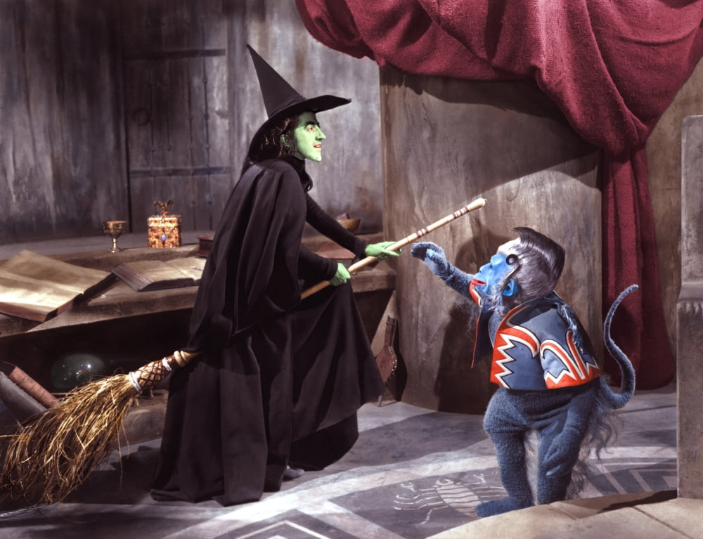 The Wizard Of Oz Canvas Art - (20 x 16)