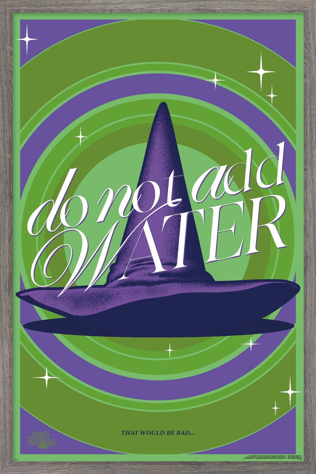 Trends International The Wizard Of Oz - Do Not Add Water Framed Wall Poster Prints Barnwood Framed Version 22.375" x 34"