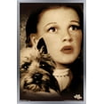 thumbnail image 1 of The Wizard Of Oz - Duo Wall Poster, 14.725" x 22.375", Framed, 1 of 6