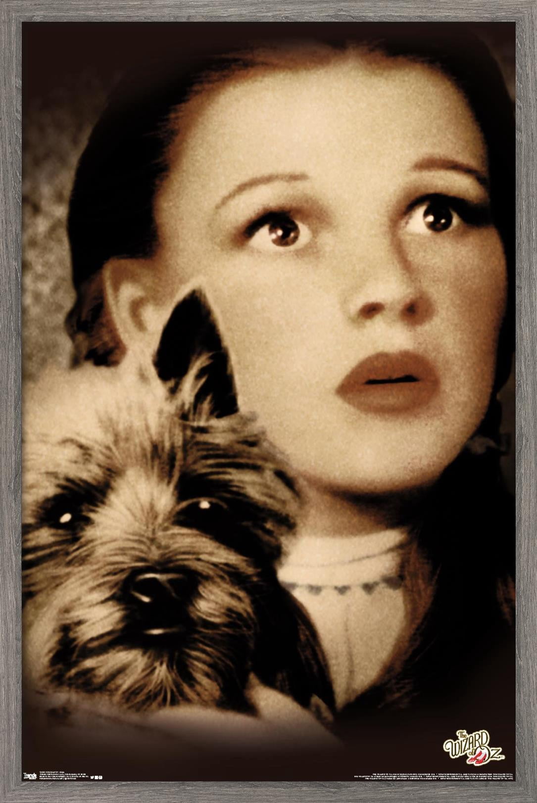 The Wizard Of Oz - Duo Wall Poster, 14.725" x 22.375", Framed