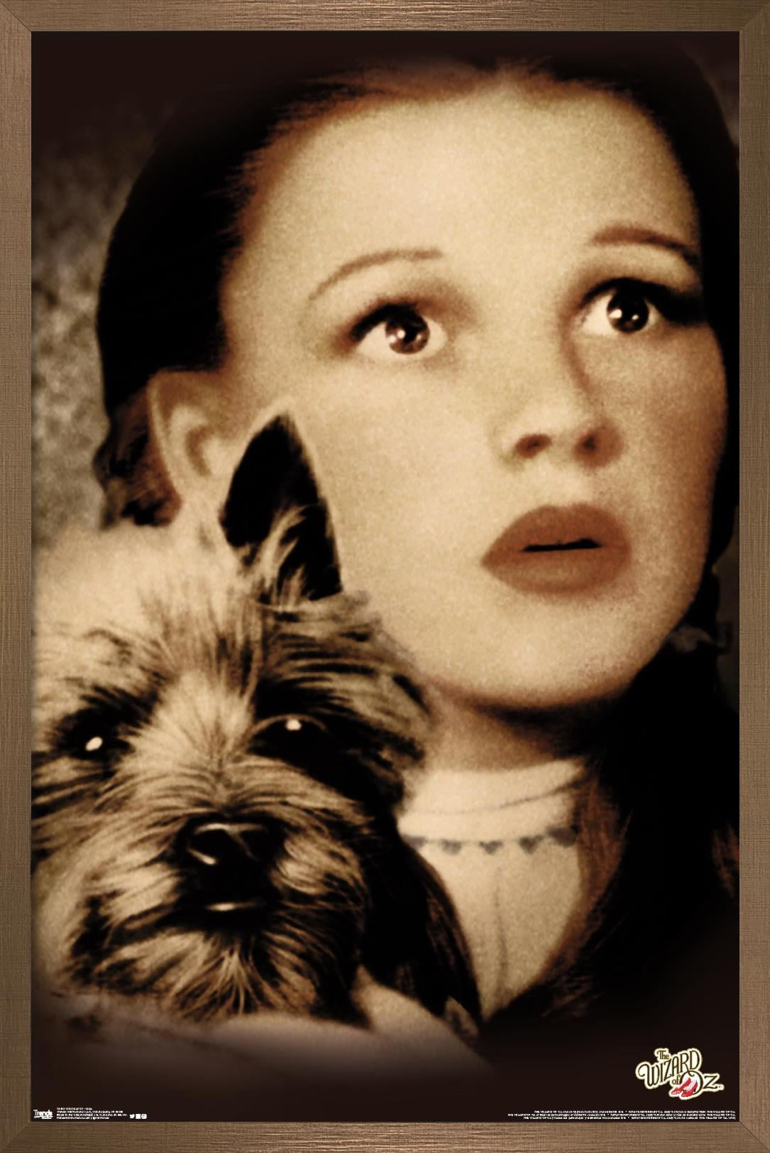The Wizard Of Oz - Duo Wall Poster, 22.375" x 34", Framed