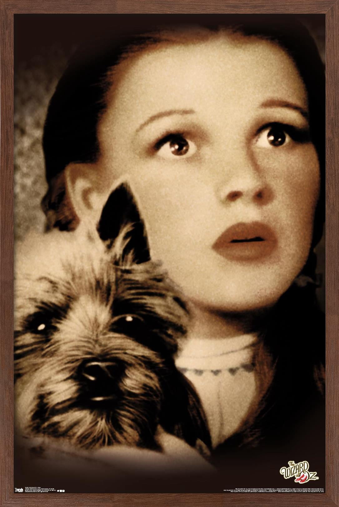 The Wizard Of Oz - Duo Wall Poster, 22.375" x 34", Framed