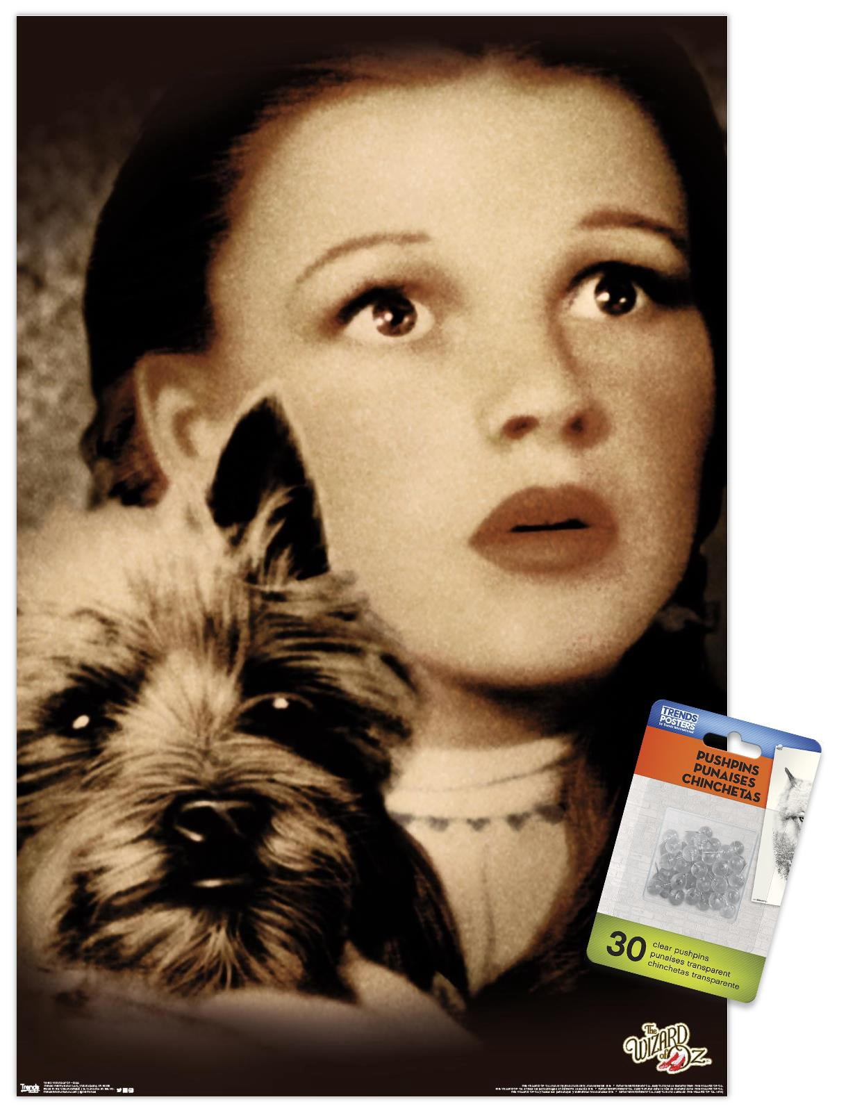 The Wizard Of Oz - Duo Wall Poster with Push Pins, 14.725" x 22.375"