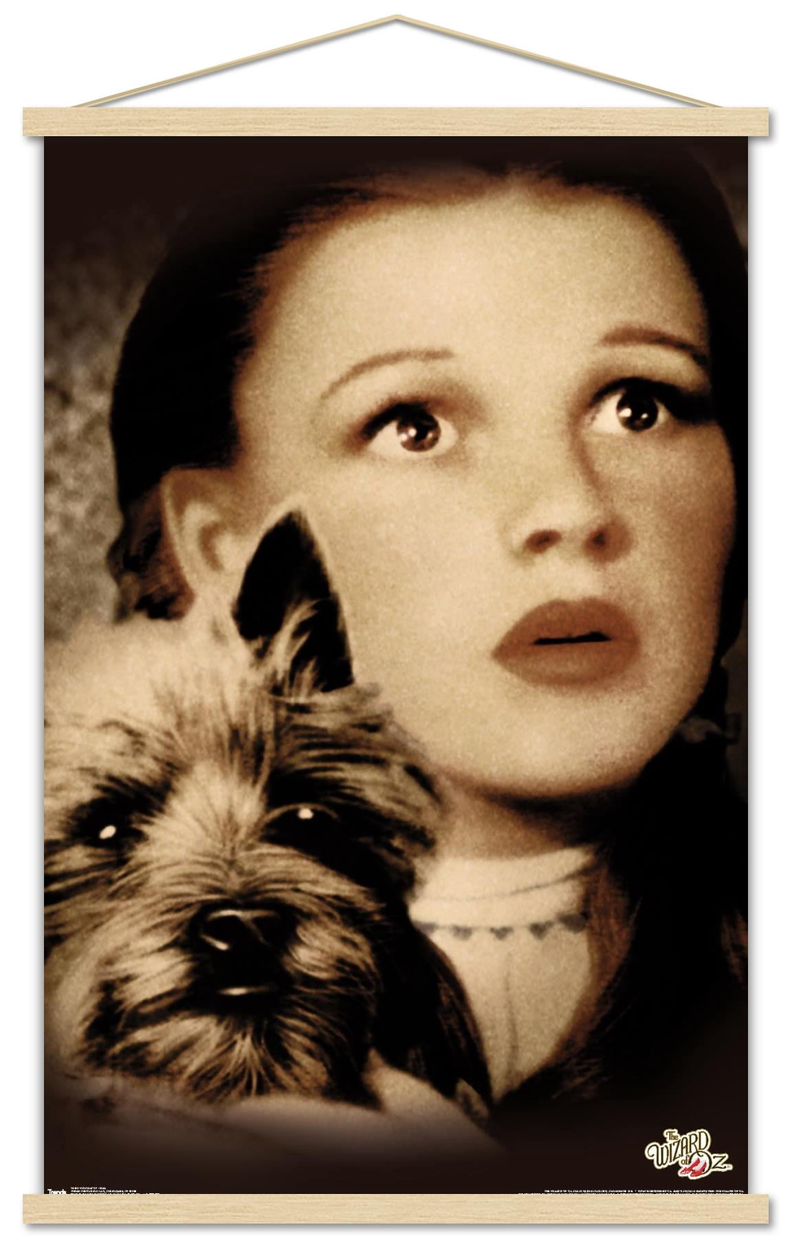 The Wizard Of Oz - Duo Wall Poster with Wooden Magnetic Frame, 22.375" x 34"