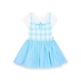 thumbnail image 1 of The Wizard of Oz Toddler Girl Dorothy Cosplay Sweater Dress, Sizes 12M-5T, 1 of 10