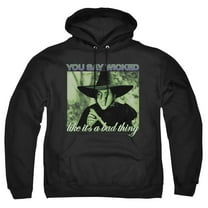 The Wizard of Oz Wicked Witch Adult Pull-Over Hoodie, Black, Large